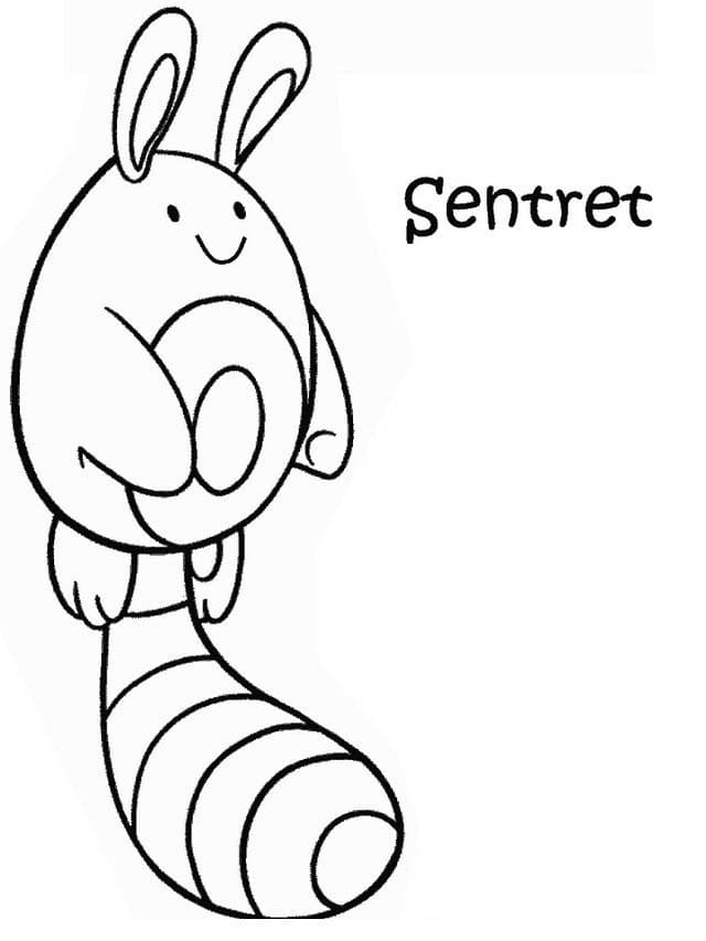 Printable Sentret Pokemon