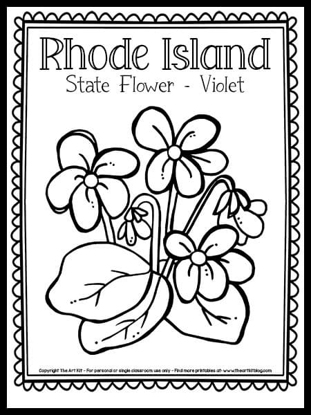 Rhode Island State Flower