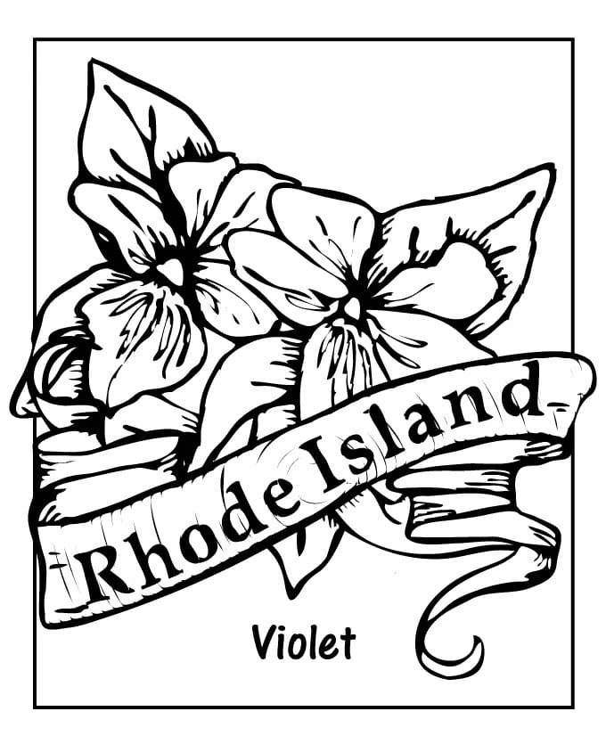 Rhode Island State Flowers