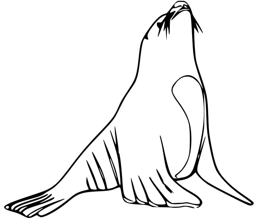 Cartoon Sea Lion Färbung Seite - Kostenlose Druckbare Malvorlagen Für 