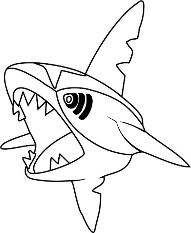 Sharpedo 2