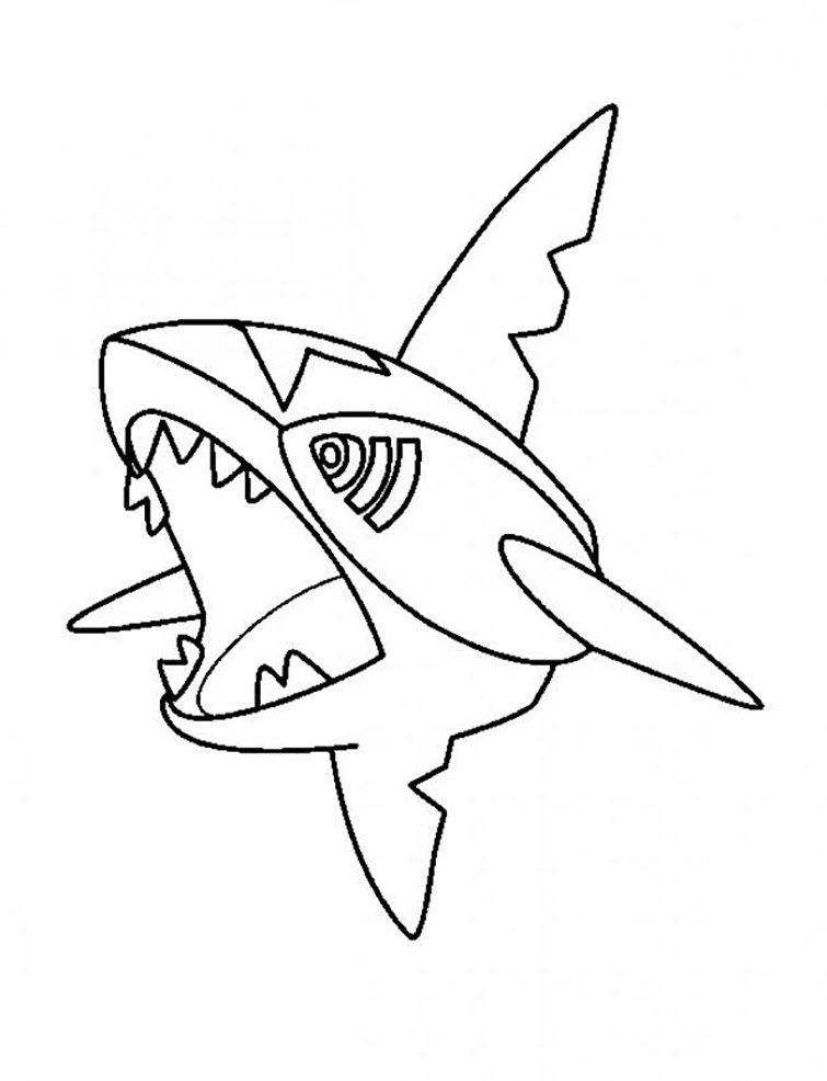 Sharpedo 3