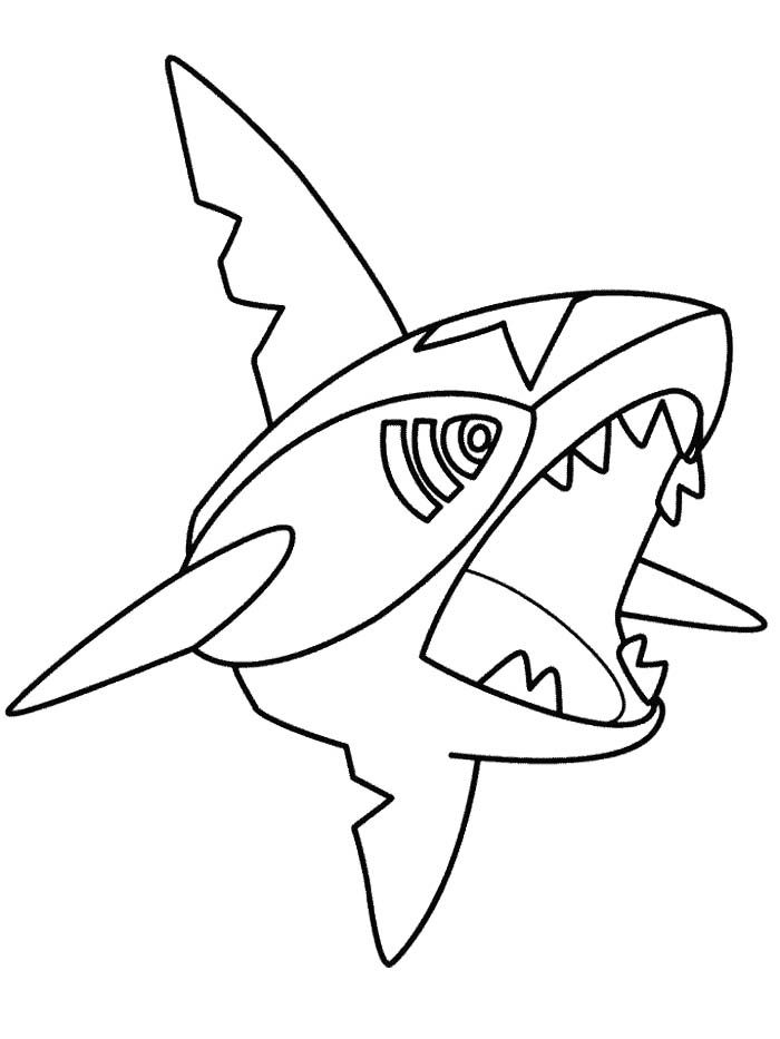 Sharpedo 4