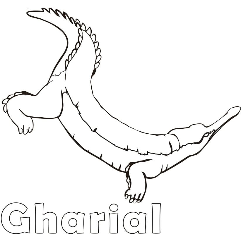 Simple Gharial