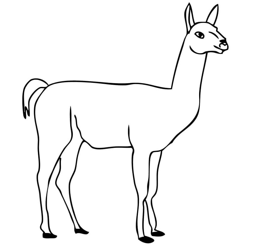 Simple Guanaco