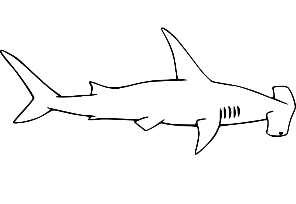 Simple Hammerhead Shark Färbung Seite - Kostenlose druckbare ...