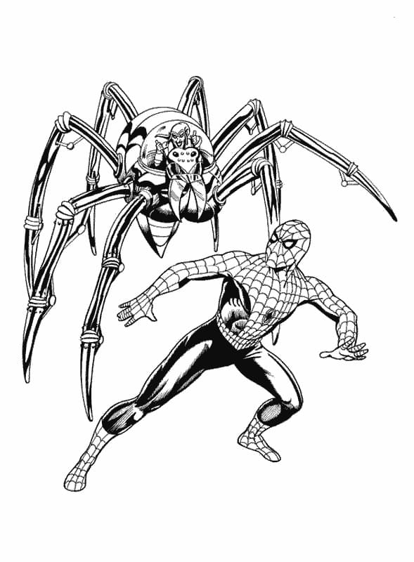 Spiderman and Spider