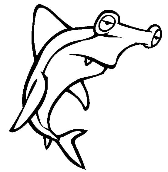Tired Hammerhead Shark