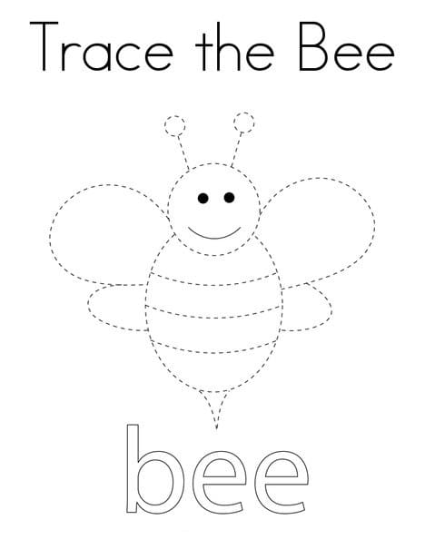 Trace the Bee