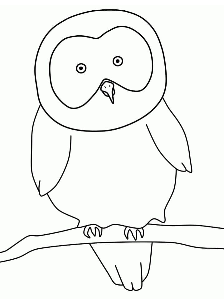 Very Easy Owl
