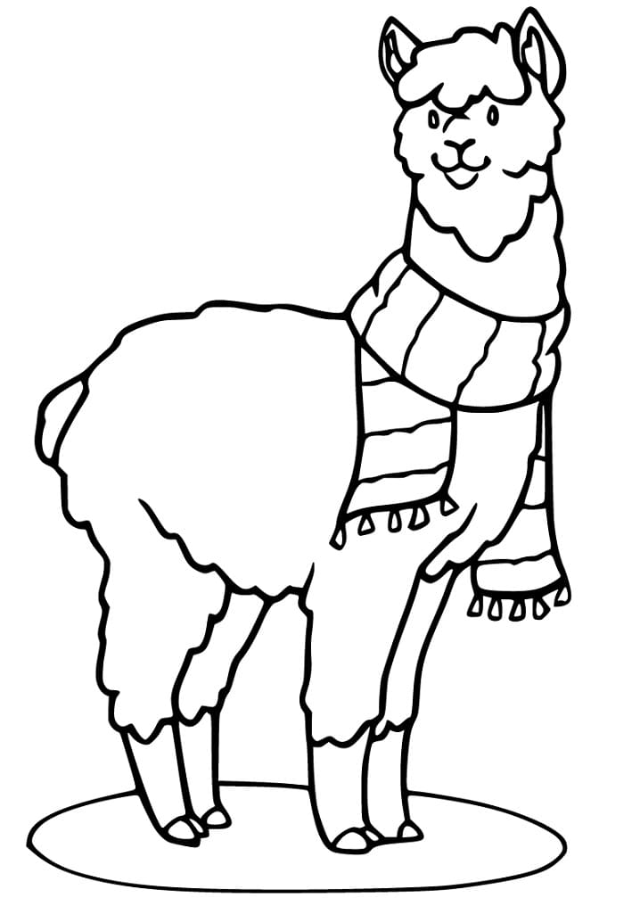 Warm Alpaca