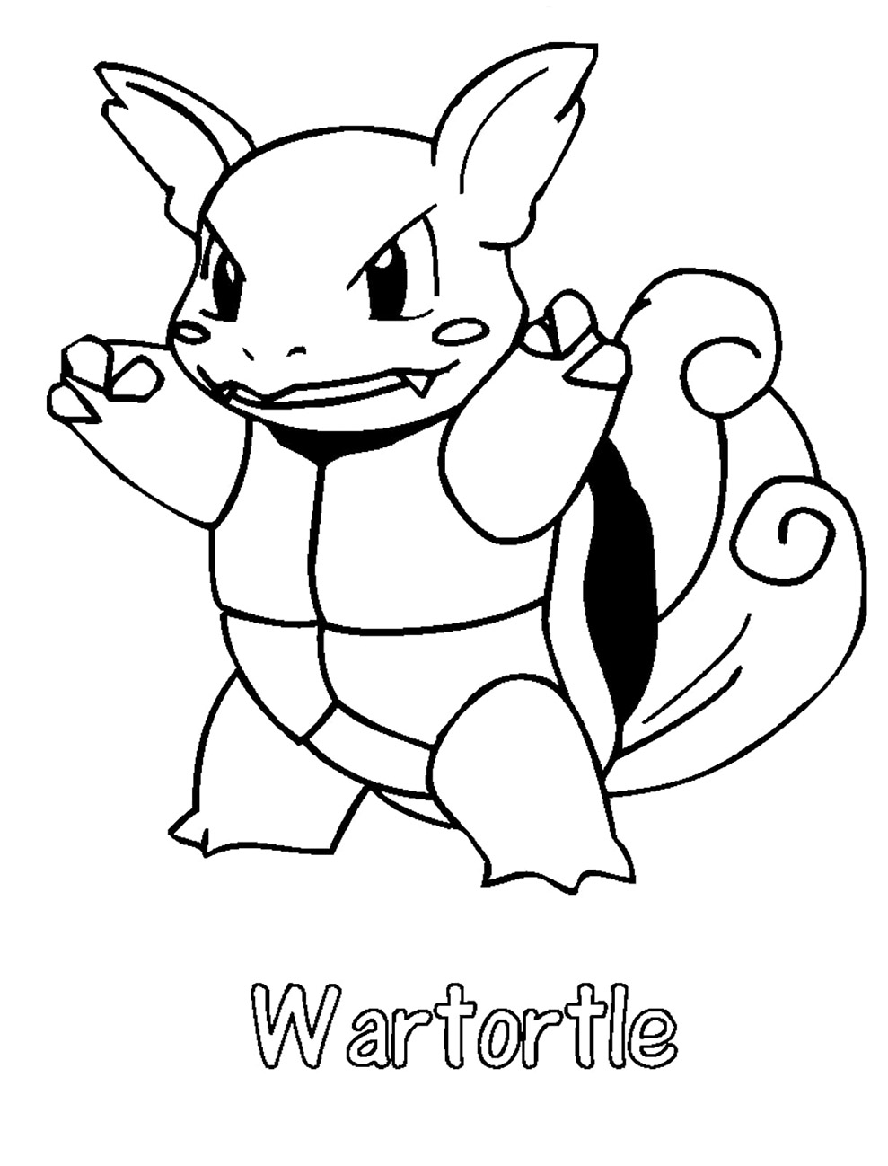 Wartortle 3