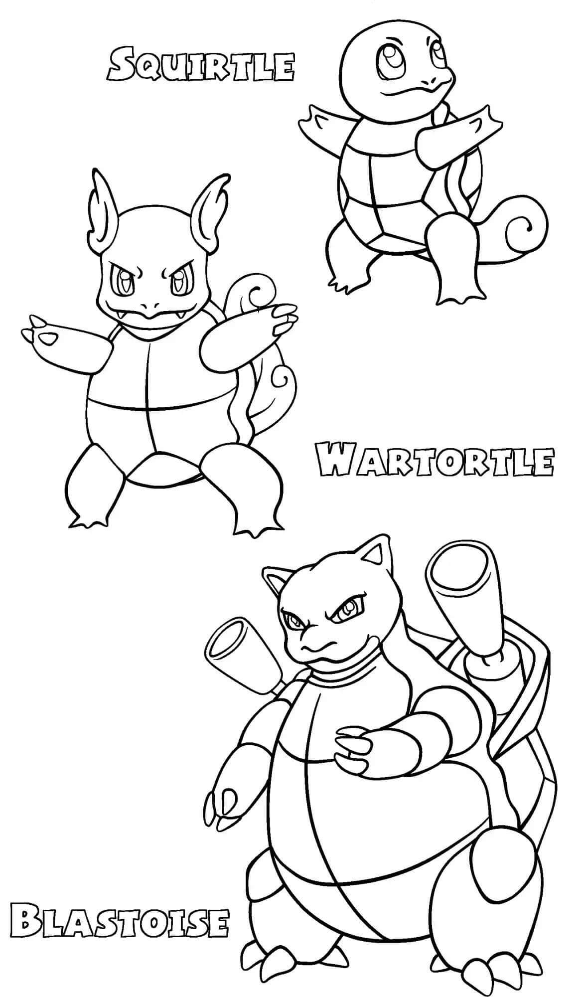 Wartortle Évolution