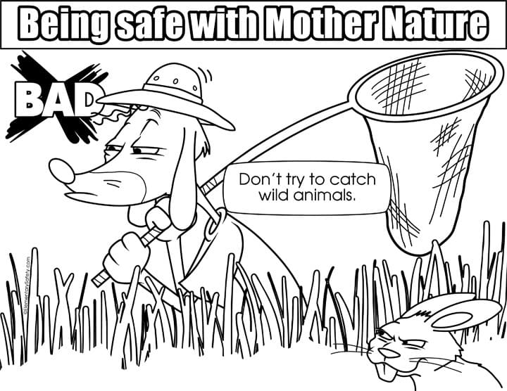 Wild Animal Safety