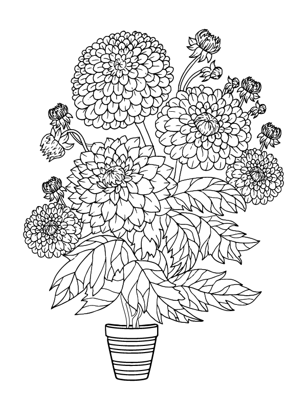 Adult Flower Coloring Pages