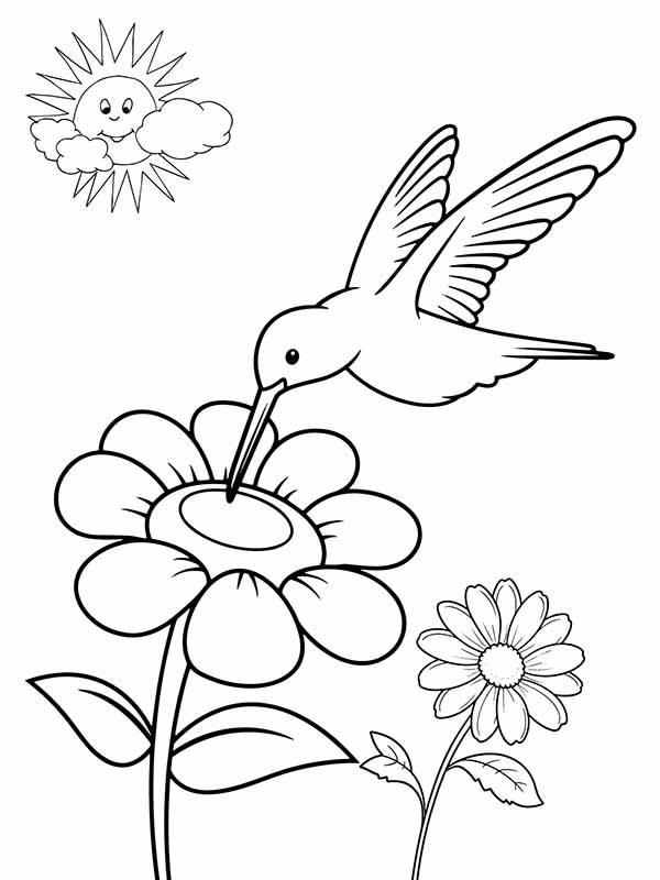 Cute Hummingbird with Flower - Coloring Pages