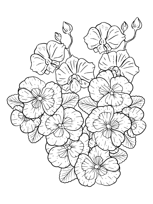 Petunia – Coloring Pages