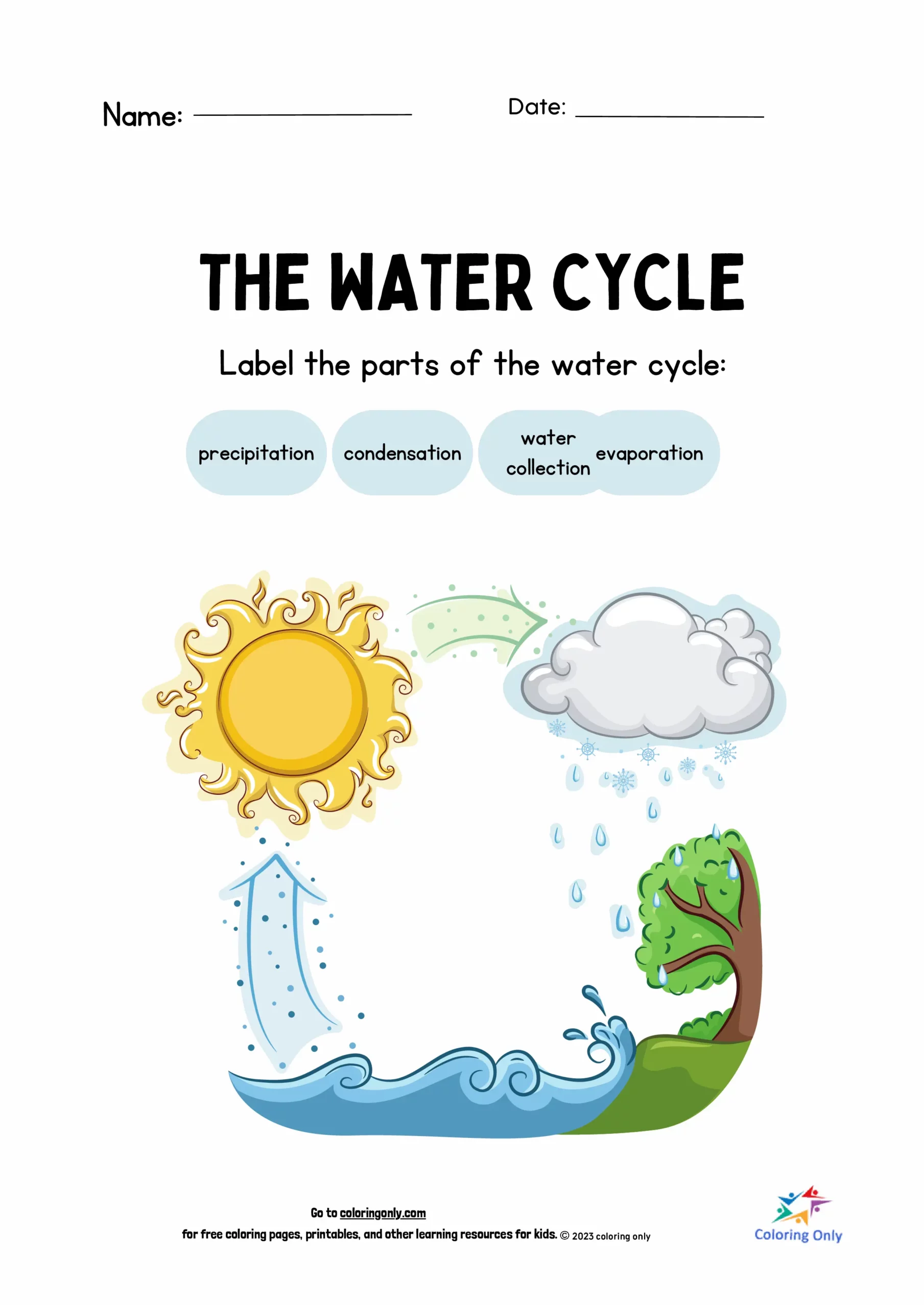 The Water Cycle - Coloring Pages