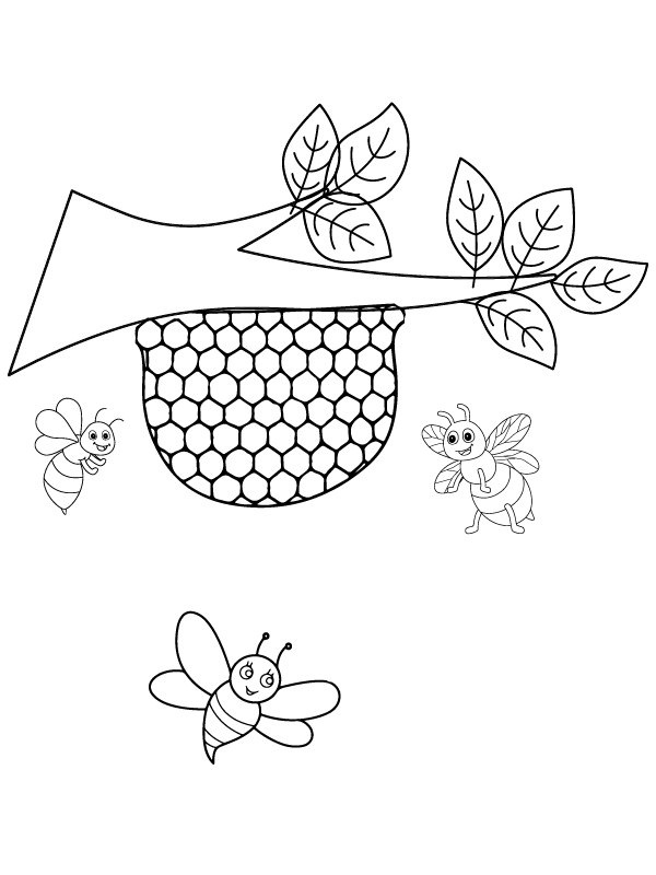 Honey in Beehive - Coloring Pages