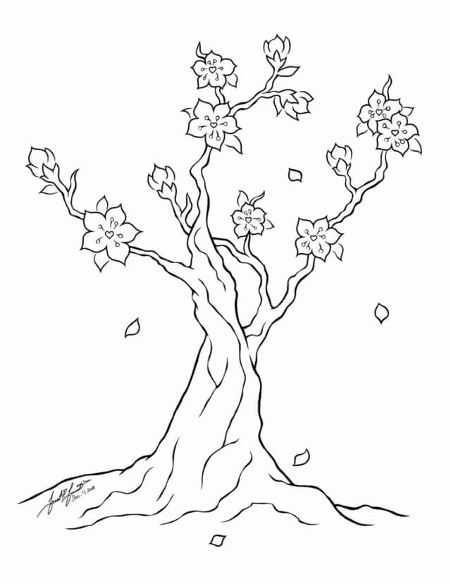 Details 48 imágenes de árboles de cerezo para dibujar