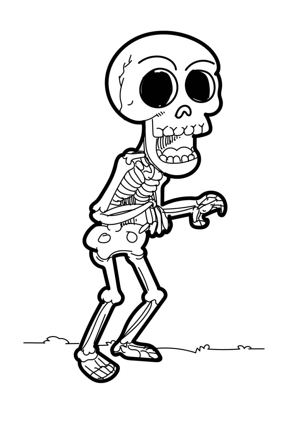 Adorable Esqueleto