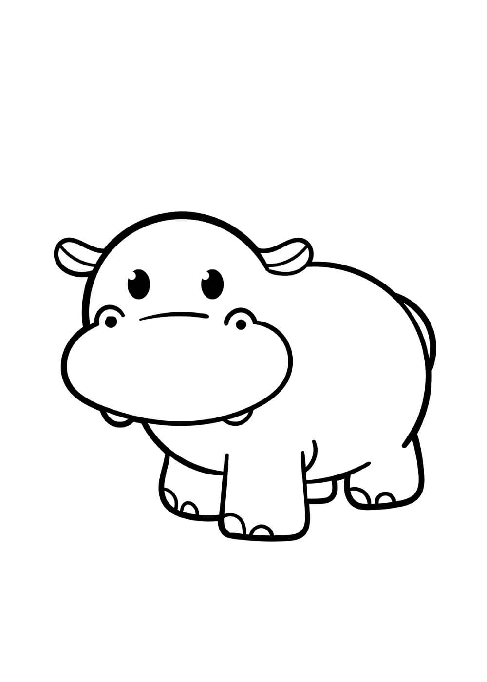 Adorable Hipopótamo