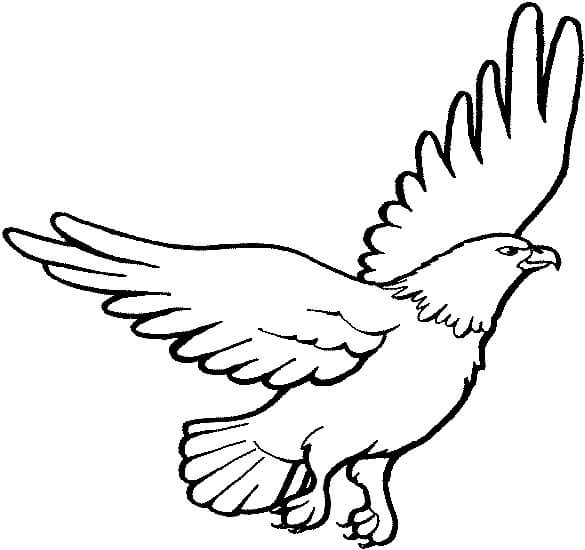 Águila Libre