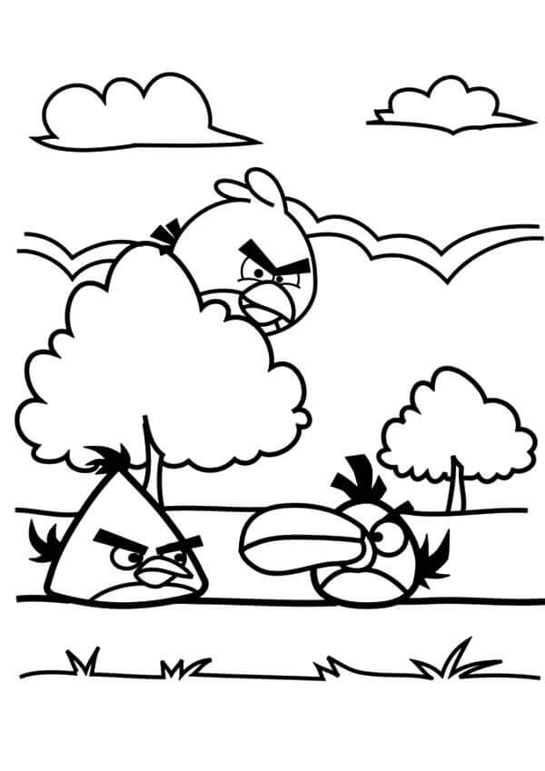 Angry Birds Jugando Cerca de un Árbol