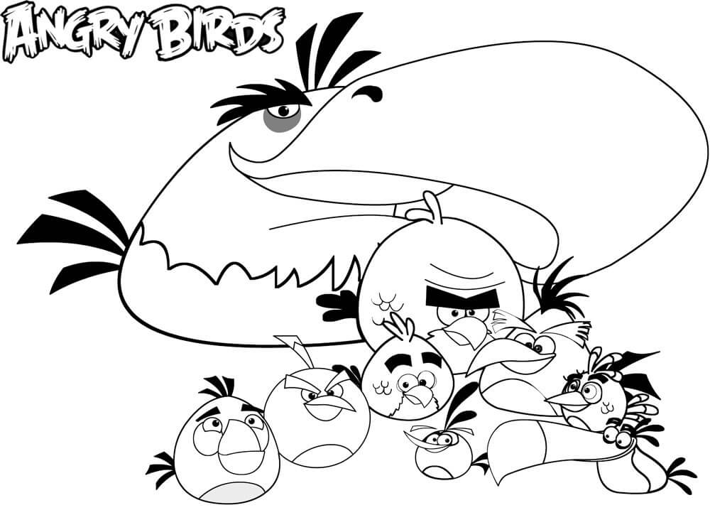 Angry Birds Perfectos