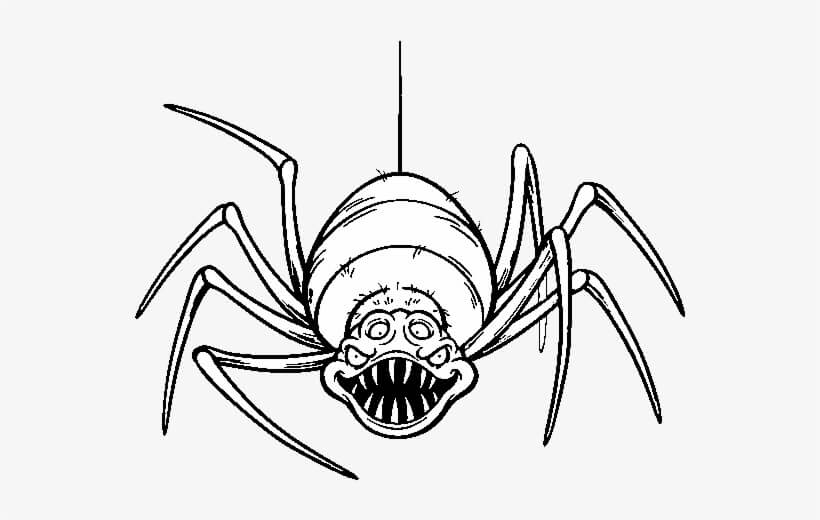 Araña Aterradora