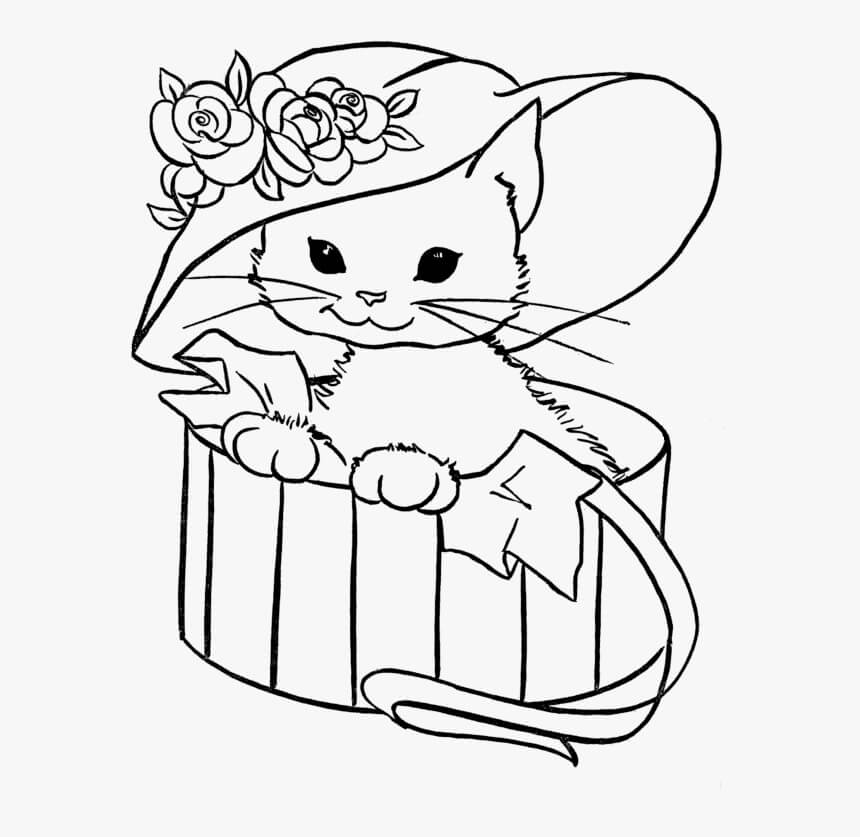 Bebé Gato con Sombrero Flor en Caja