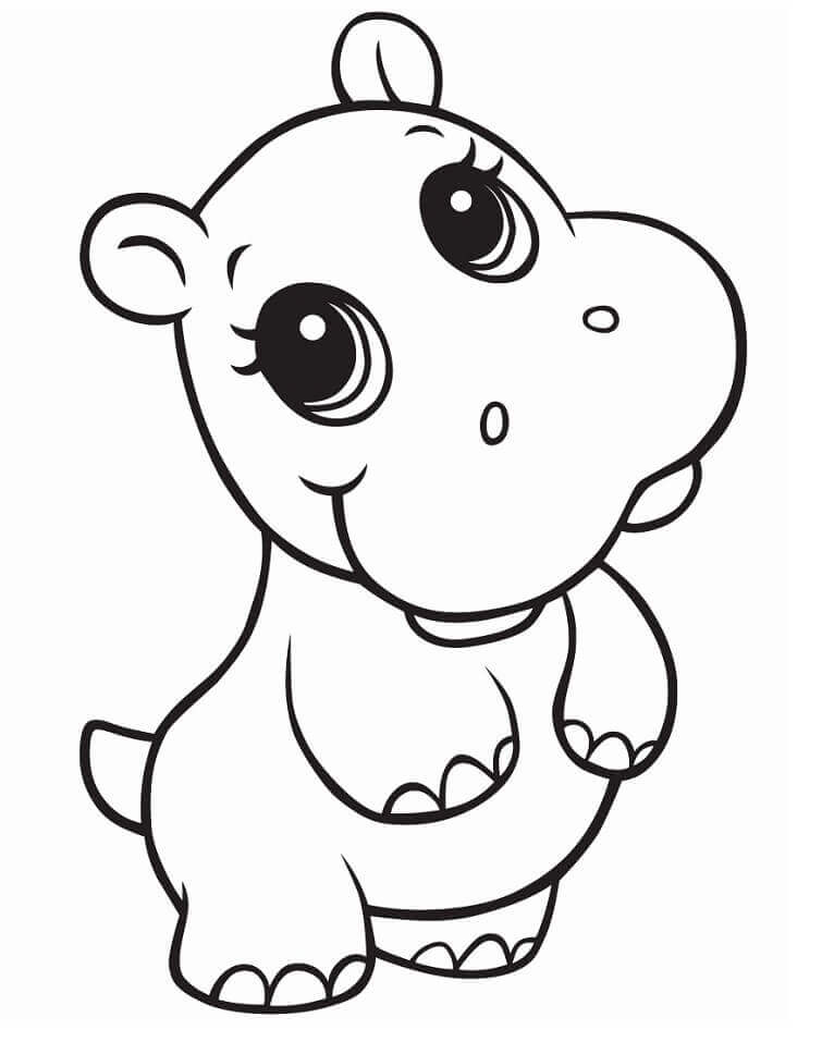 Bebé Hipopótamo