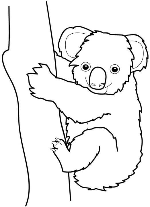 Buen Koala con Árbol