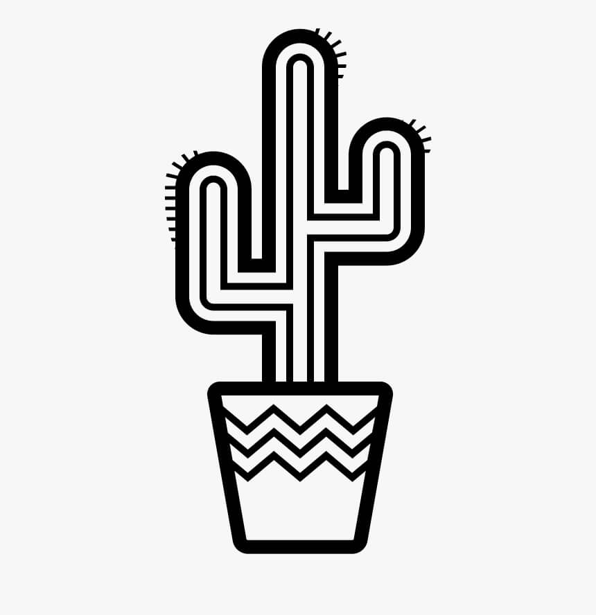Cactus Normales