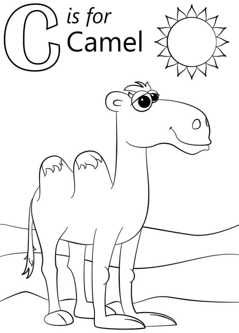 Camello, Letra C