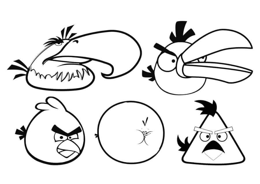 Cinco Pájaros de Angry Birds