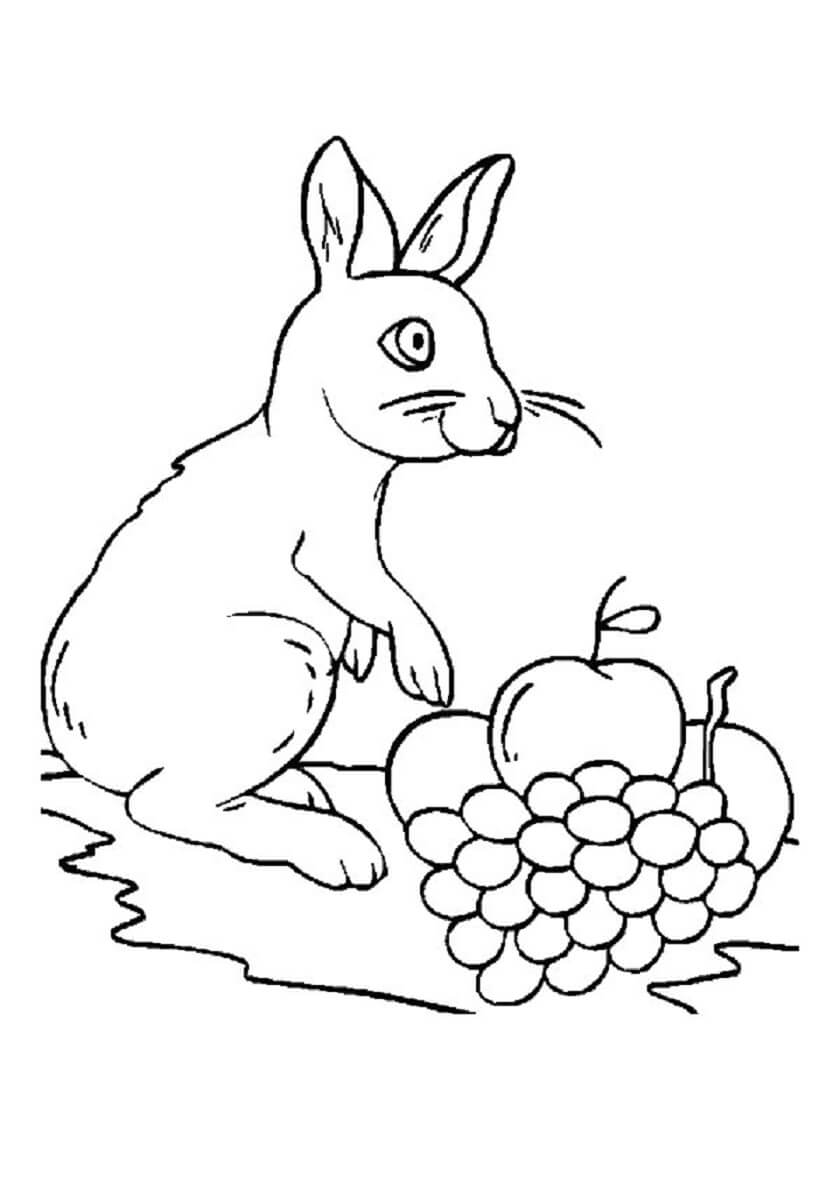 Conejo y Manzanas con Uvas