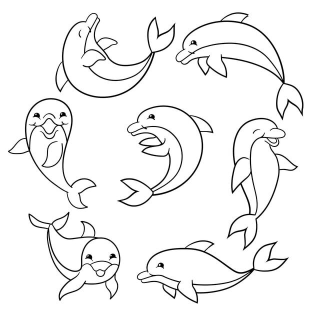 Conjunto de delfines Divertidos