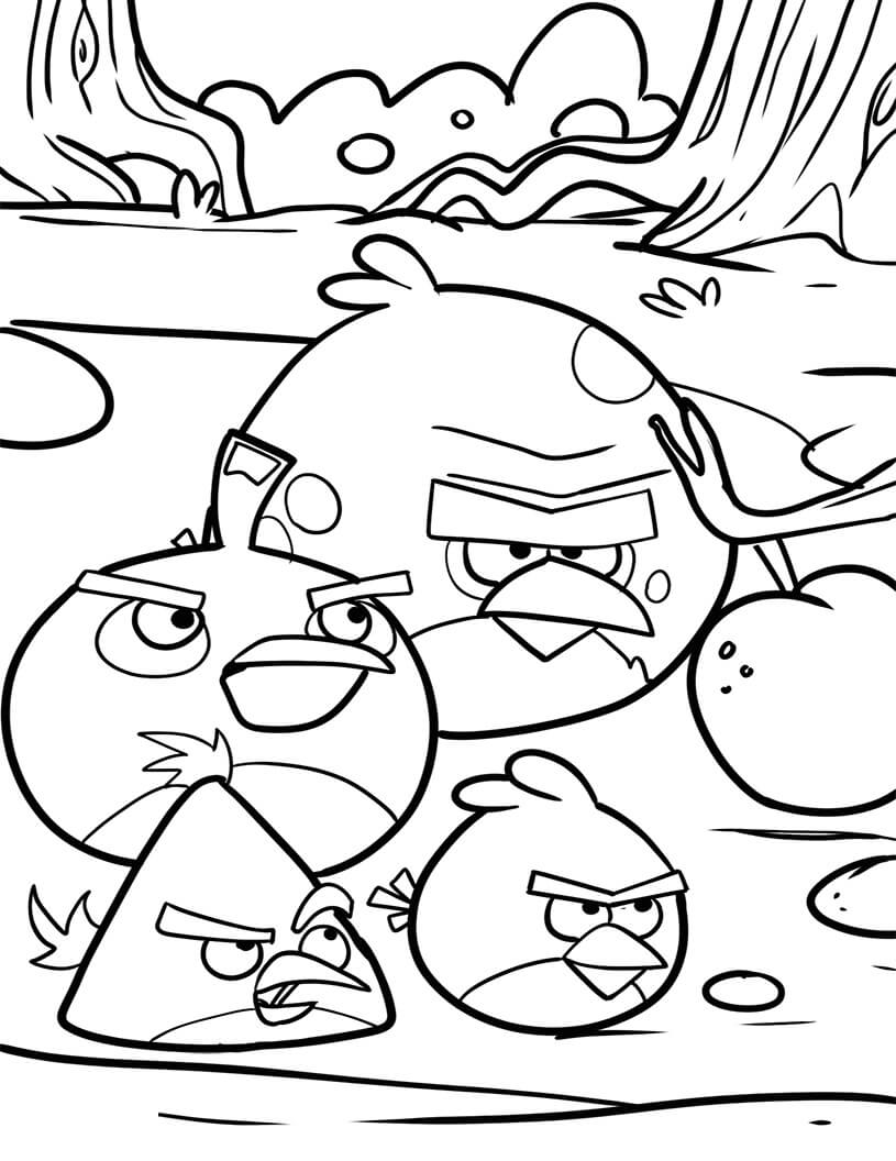 Cuatro Pájaros de Angry Birds