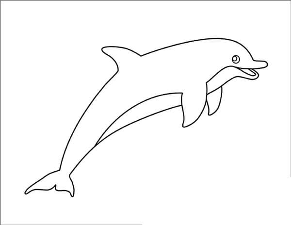 Delfín Básico