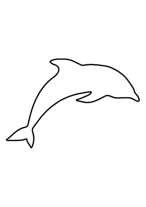 Delfín Fácil