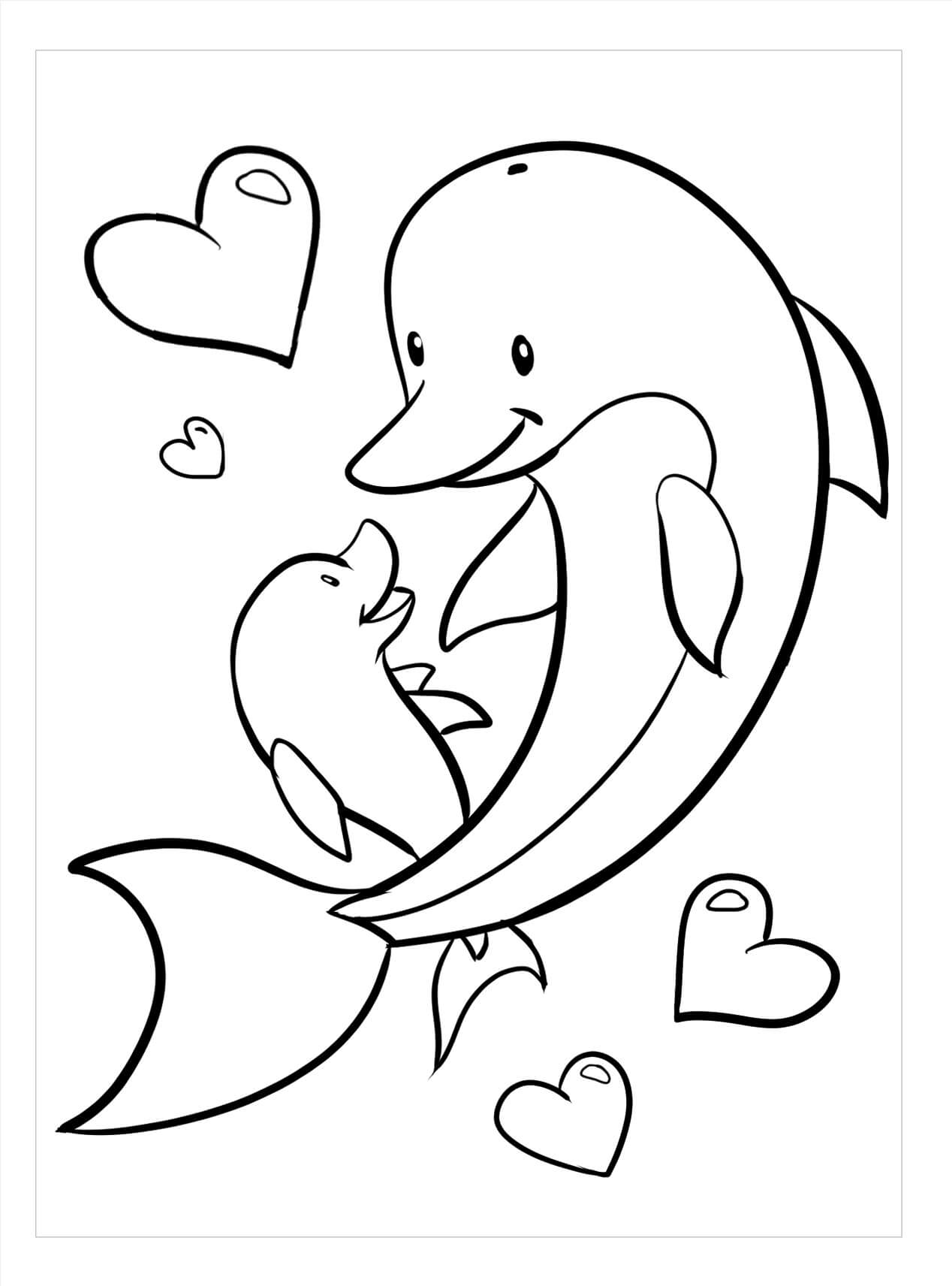 Delfín Madre y delfín Bebé