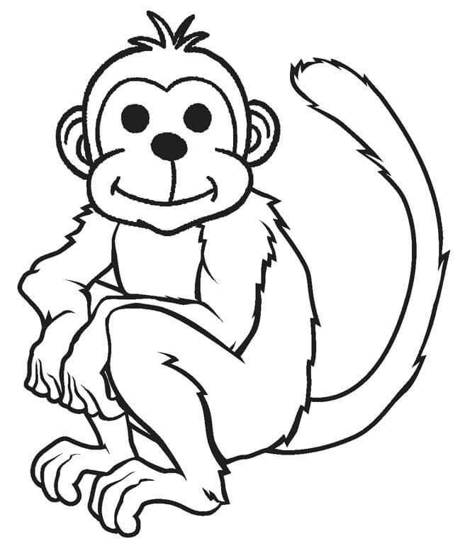 Dibujar Mono Sentado