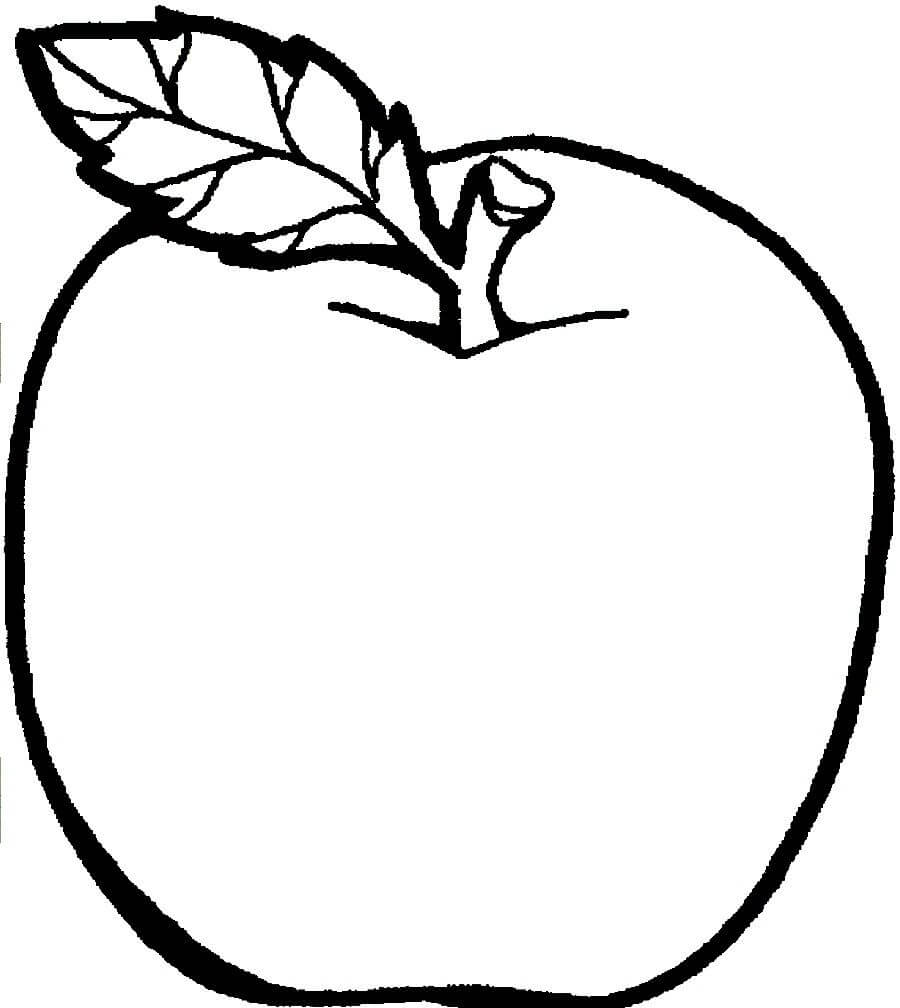 Dibujo Básico De Manzana