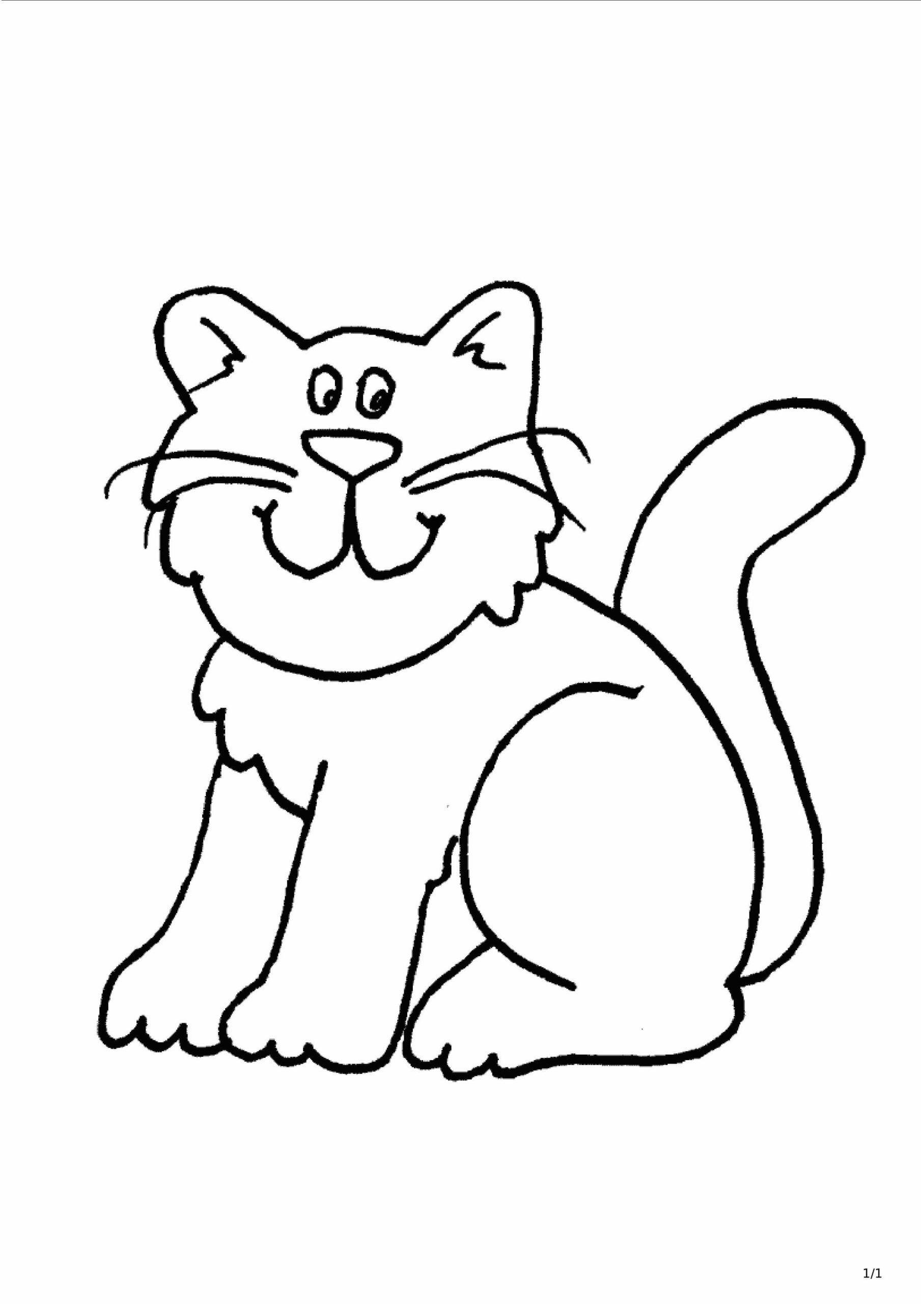 Dibujo de Gato