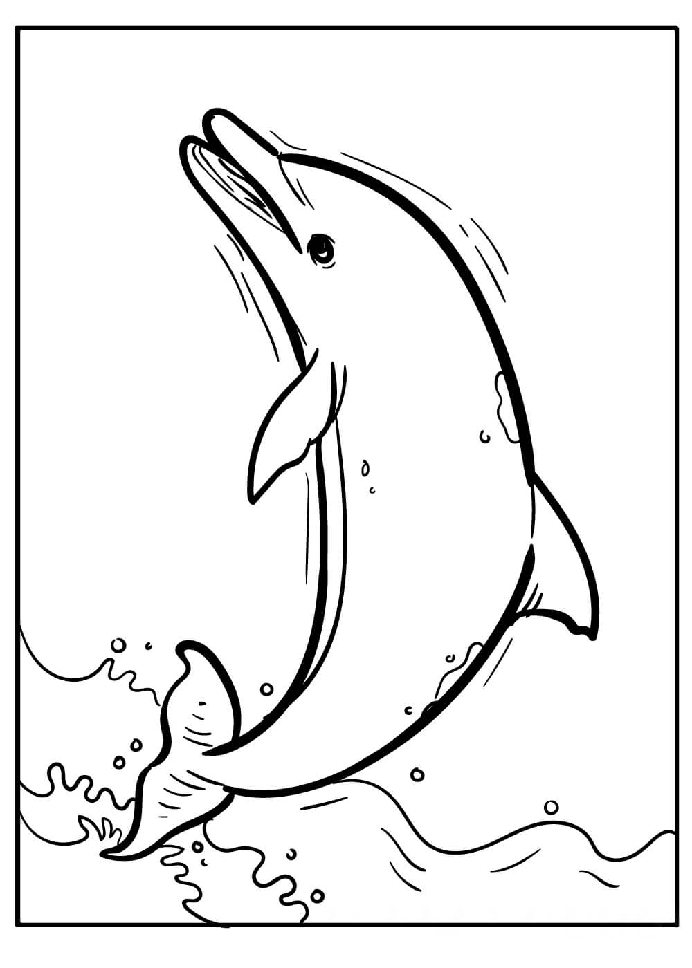 Dibujo Delfín Salto