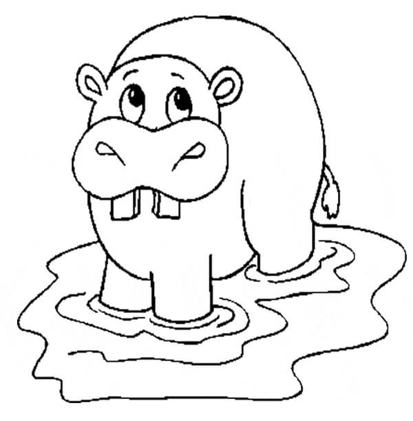 Dibujo Hipopótamo