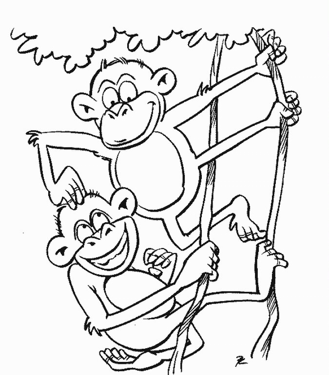 Divertidos dos Monos con rama de Árbol