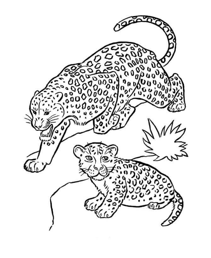 Dos Jaguares