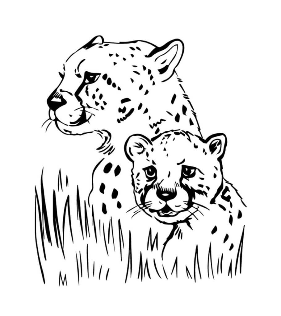 Dos Retratos de Jaguar
